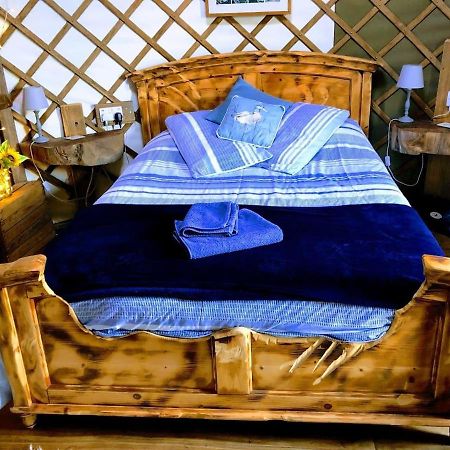 Bembridge Harbour Yurt - Log Burner - Wifi别墅 外观 照片