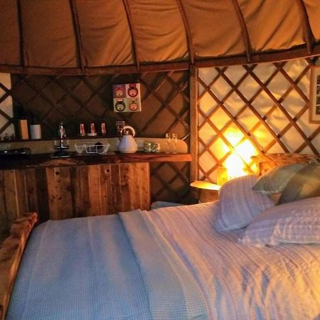 Bembridge Harbour Yurt - Log Burner - Wifi别墅 外观 照片