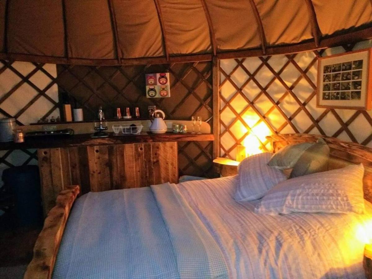 Bembridge Harbour Yurt - Log Burner - Wifi别墅 外观 照片